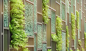 Forest Edge Amenities - Vertical Garden