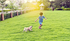 Forest Edge Amenities - Pet Corner