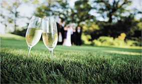 Forest Edge Amenities - Pet Corner