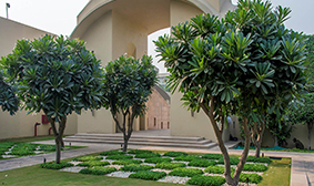 Forest Edge Amenities - Plumeria Court